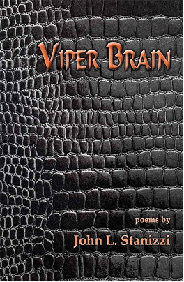 Viper Brain Cover