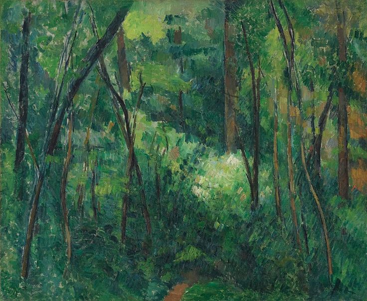 Interior of a Forest